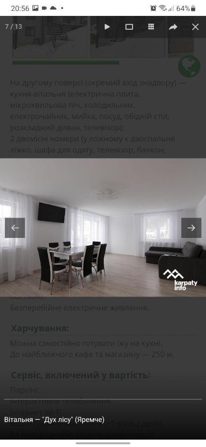 Дух Лісу Villa Yaremche Dış mekan fotoğraf