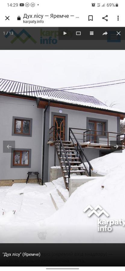 Дух Лісу Villa Yaremche Dış mekan fotoğraf