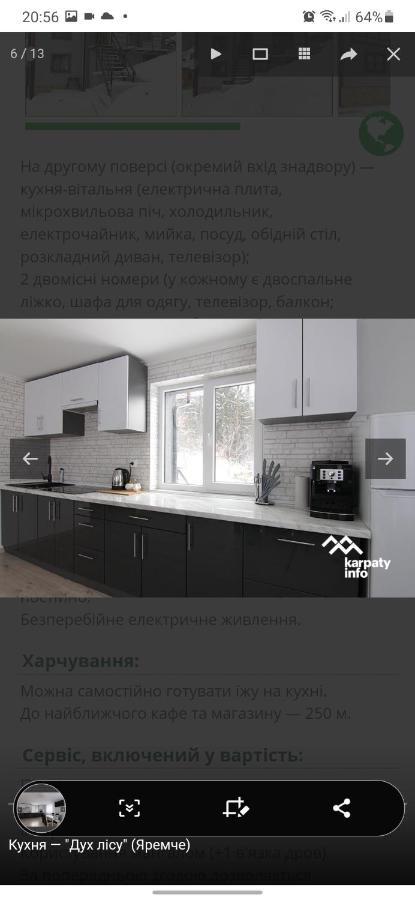 Дух Лісу Villa Yaremche Dış mekan fotoğraf