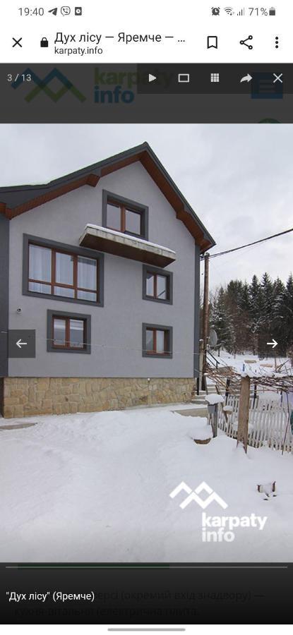 Дух Лісу Villa Yaremche Dış mekan fotoğraf